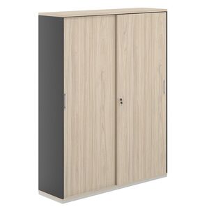 Шкаф-купе 5 уровней 1438