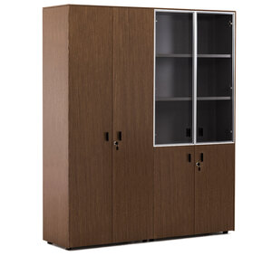 EXE Шкаф комбинированный + д/бумаг