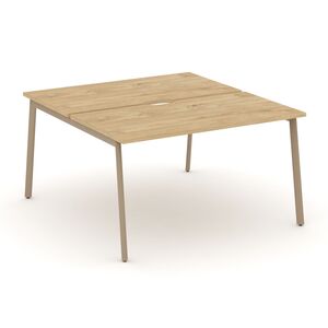 Рабочая станция на 2 места